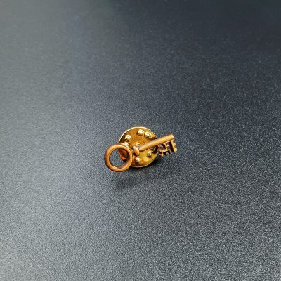 Gästabudsnyckeln, pin